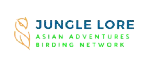 JungleLore