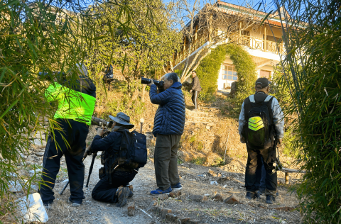 Pangot_Hotel_For_Birdwatchers